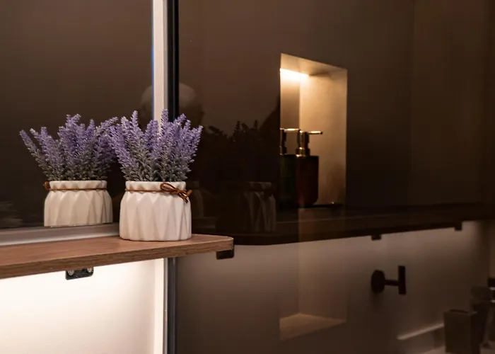 La Carolina Suite Moderna